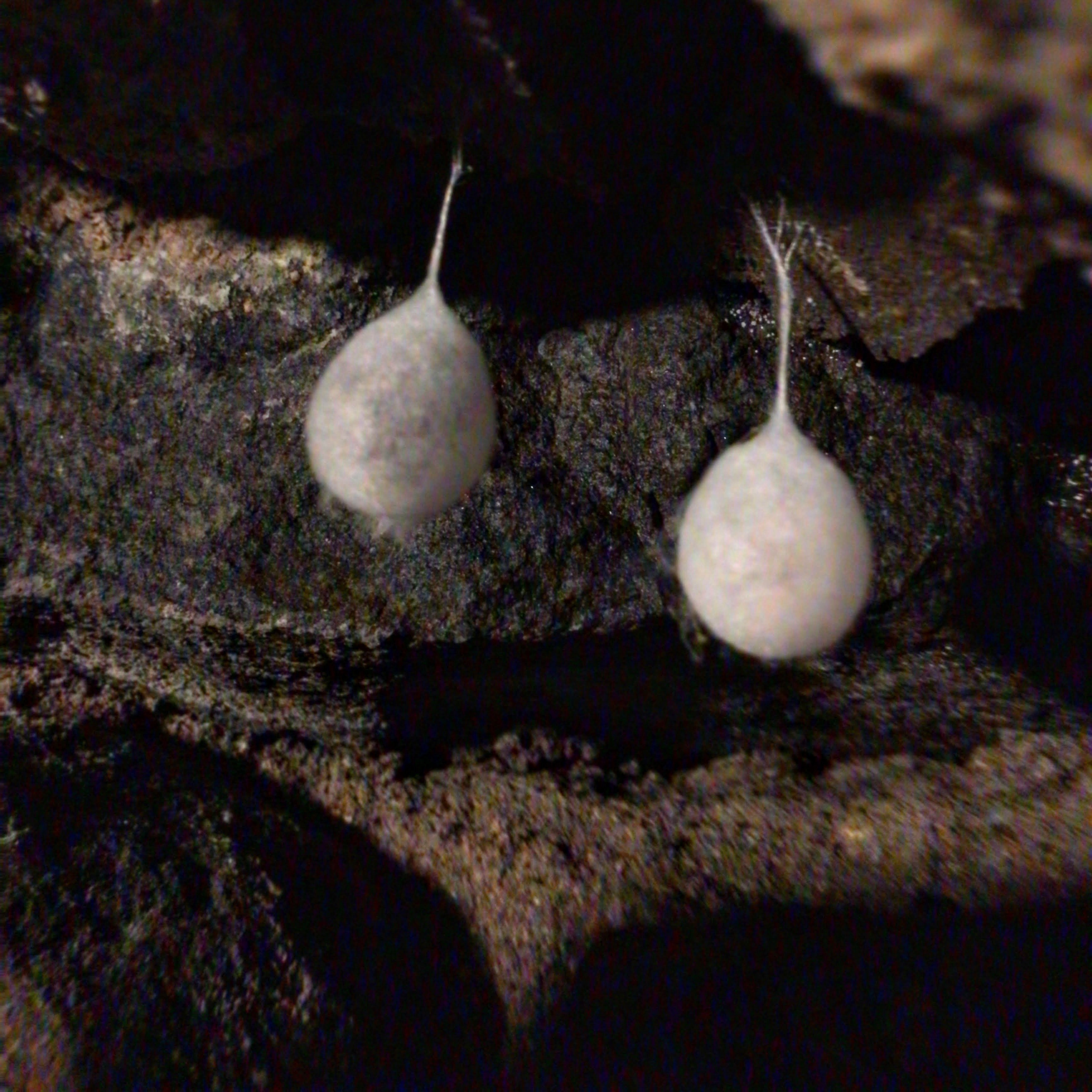 IMG_2666 (Edited).JPG